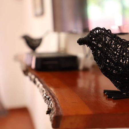 Butterfly Apartments Λίβινγκστον Εξωτερικό φωτογραφία